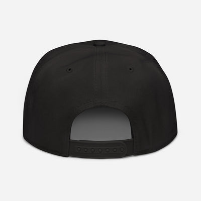 Hat - Snapback: D13 - Barbed